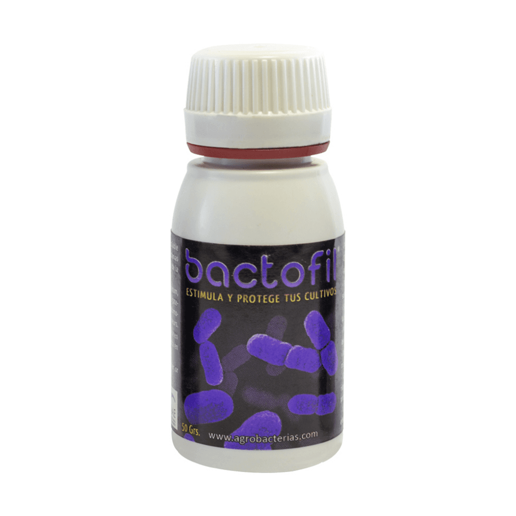 Bactofil Agrobakterien