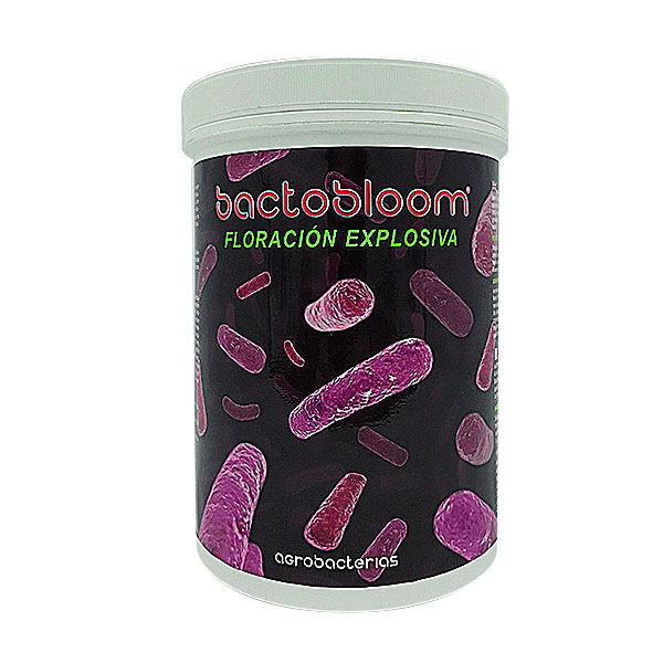 Bactobloom Biostimulans für die Blüte
