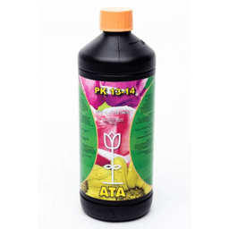 Atami Ata PK 13-14 (1L bis 10L) (2)