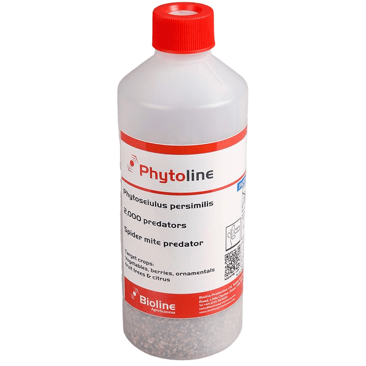 Phytoline - Phytoseiulus Persimilis Flasche 0,5L
