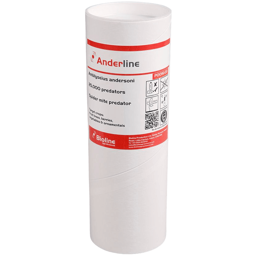 Anderline - Amblyseius Andersoni Tube 25.000 (Rote und Weiße Spinnmilbe)