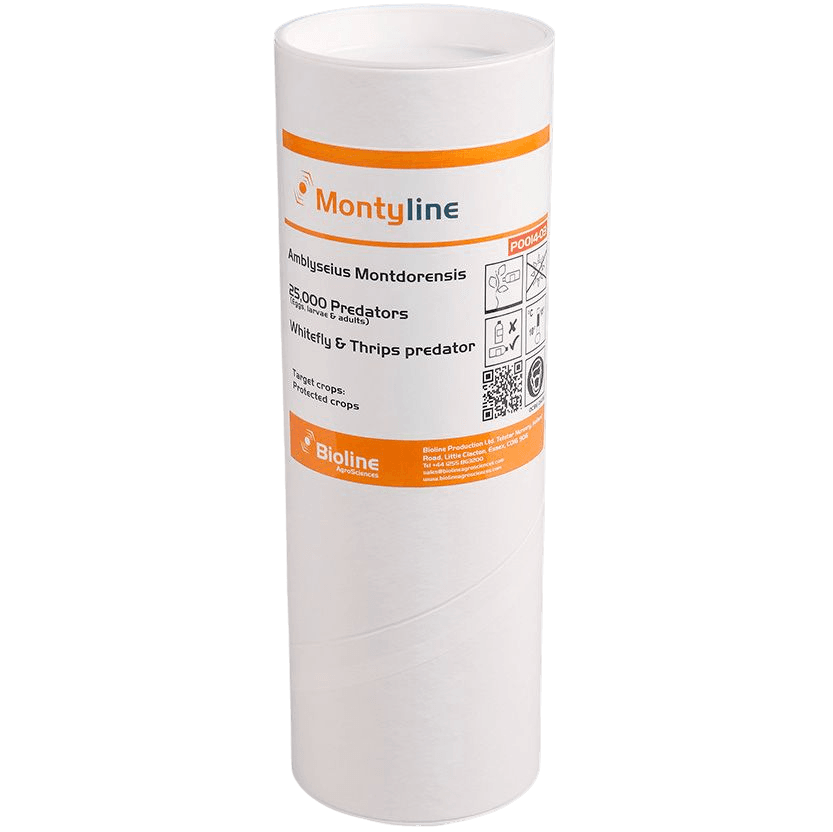 Montyline - Röhre 25.000 Individuen - Amblyseius montdorensis (Thripse / Weiße Fliege)