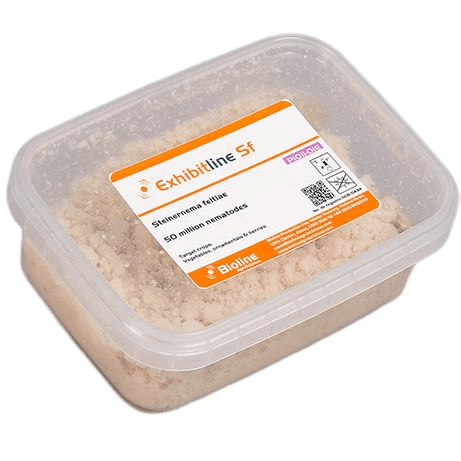 Exhibitline SF -A- Wanne 50 Millionen Individuen - Steinernema feltiae (Thrips-Larven, Trauermücken)