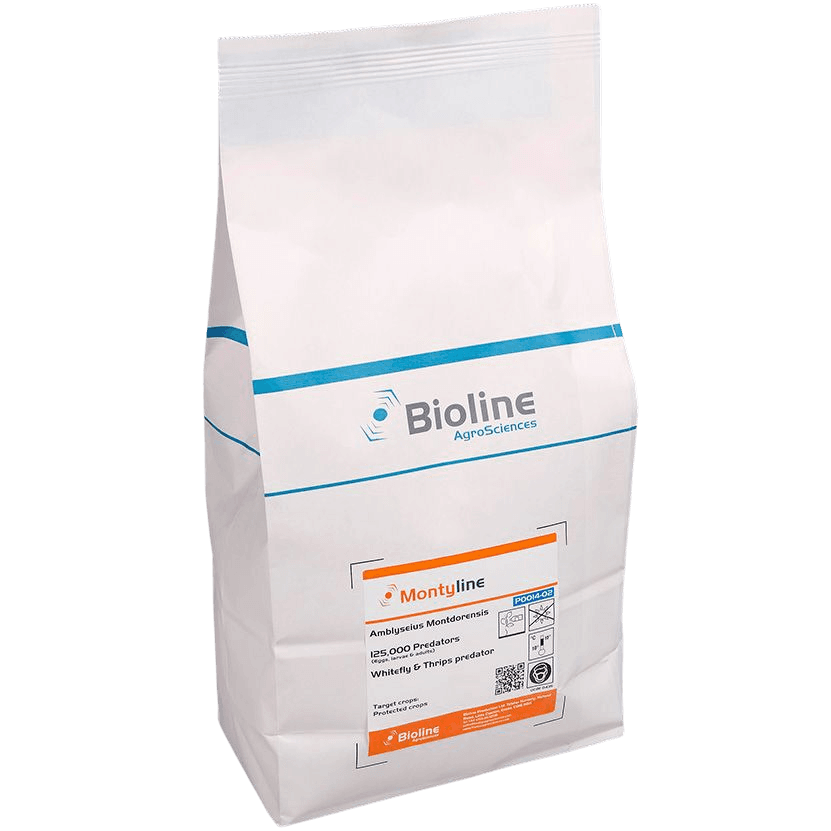 Montyline - Beutel 5L - 125.000 Individuen - Amblyseius montdorensis (Thripse / Weiße Fliege)