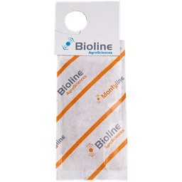 Montyline - 1.000 Mini-Beutel - 250.000 Individuen - Amblyseius montdorensis (Thripse / Weiße Fliege) (1)