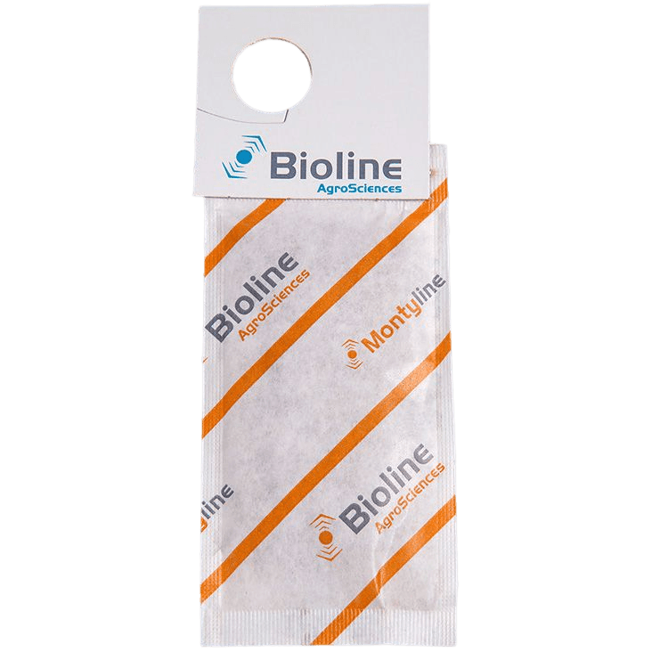 Montyline - 200 Mini-Beutel - 50.000 Individuen - Amblyseius montdorensis (Thripse / Weiße Fliege)