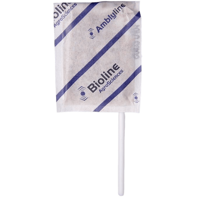 Amblyline - Bran-Vermiculit - 500 Stick-Beutel - 125.000 Individuen - Amblyseius cucumeris (Thrips)