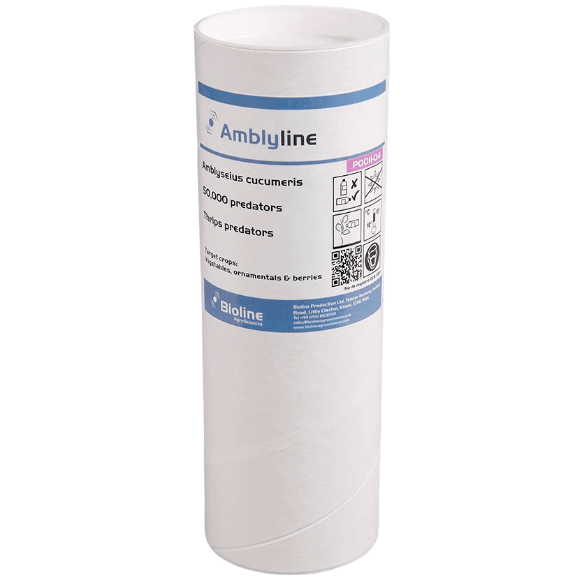 Amblyline - Bran-vermiculite - Tube - 50.000 Individuen - Amblyseius cucumeris (Thripse)