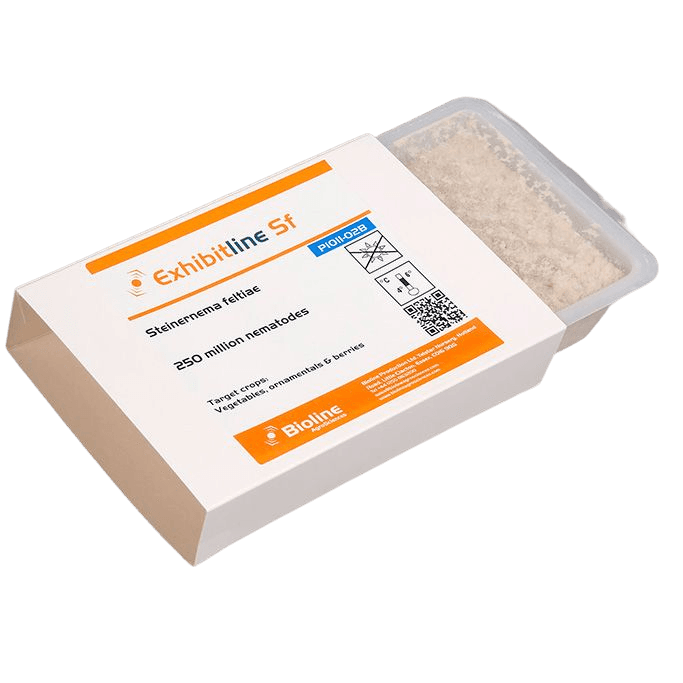 Exhibitline SF -B- Wanne - 250 Mill. Individuen - Steinernema feltiae