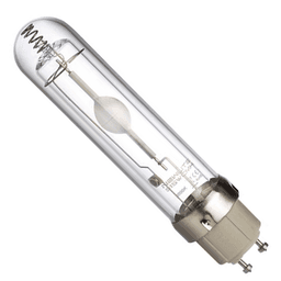 Newlite LEC (CMH) 315W PCA Lampe (1)