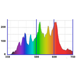 Newlite LEC 630W (CMH) DE 3200K (2)