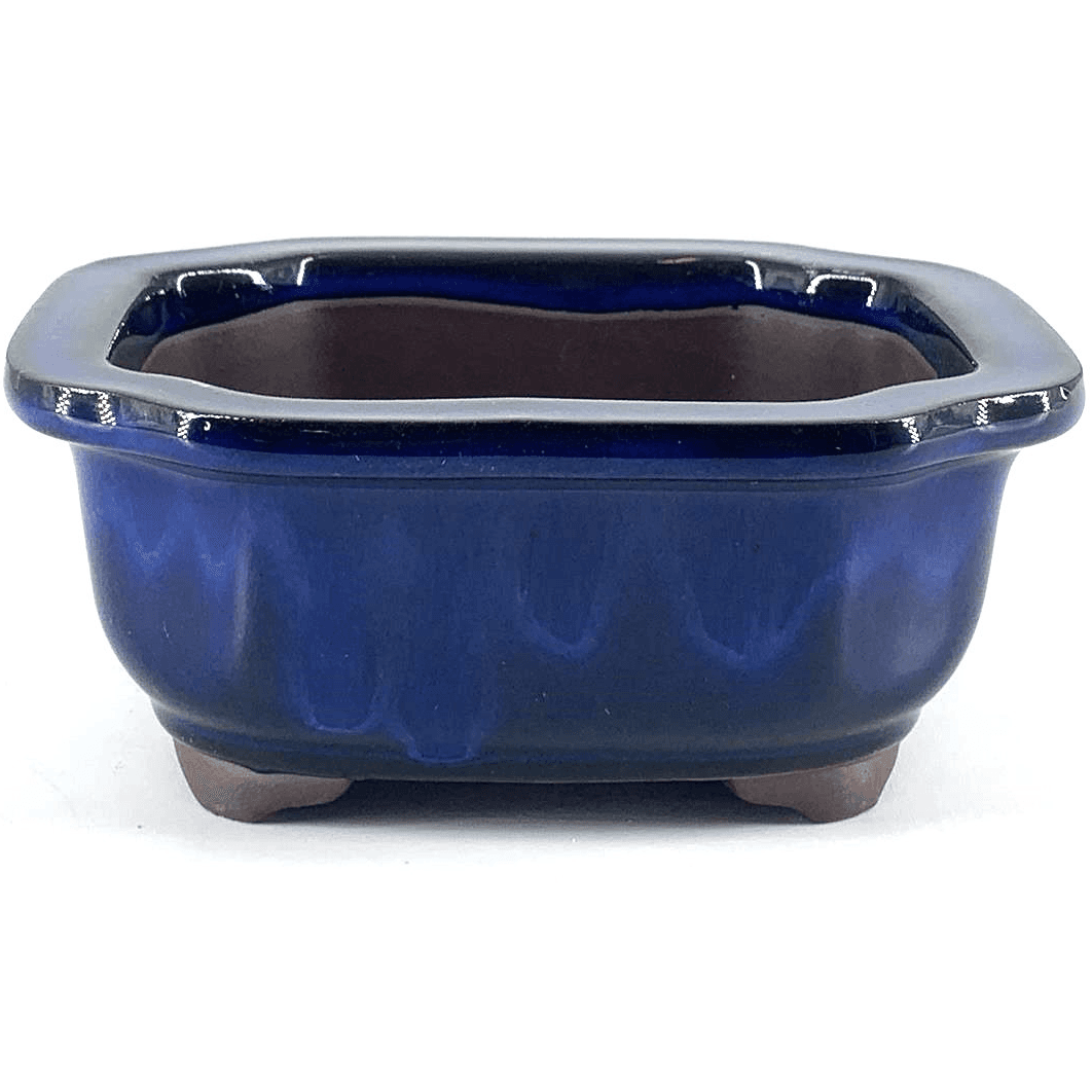 Blau glasierter Rechteck-Topf 30 x 25 x 10 cm