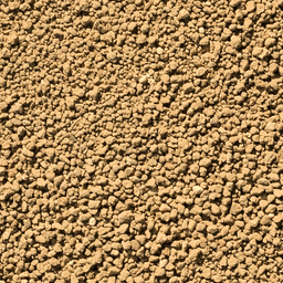 (2)