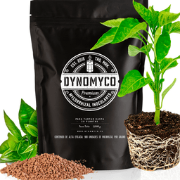 DYNOMYCO Mykorrhizen 100 g (1)