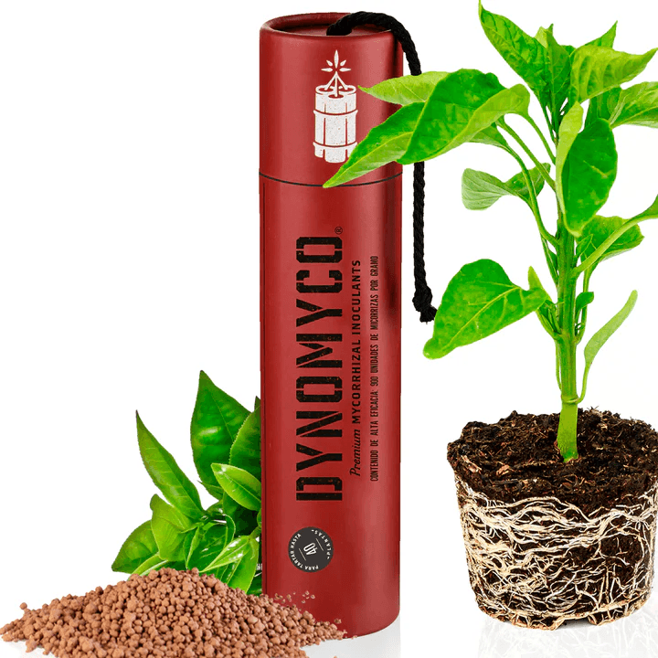 Dynomyco Mykorrhizen 200 g