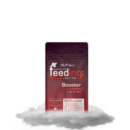 Feeding Booster Blütestimulator (1)