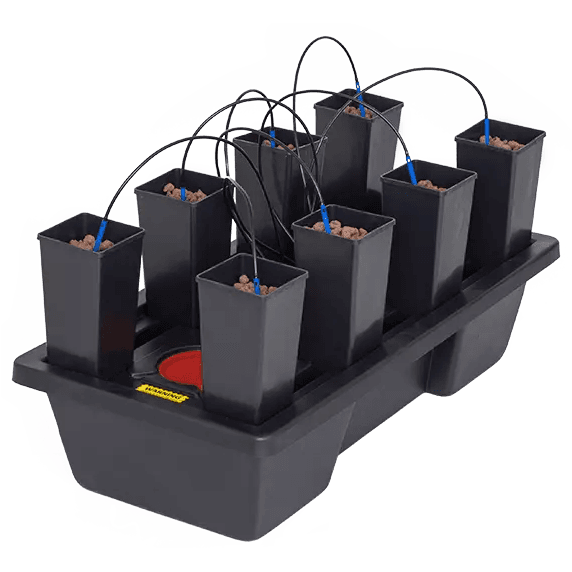 Wilma Mini 8 (1,65 L)