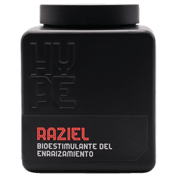 Raziel (Fester Wurzelstimulator) (2)