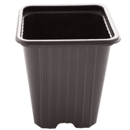Eco Schwarzer Quadratischer Topf (1)