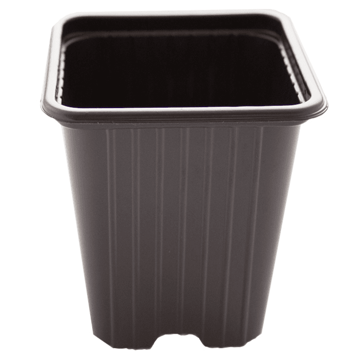 Eco Schwarzer Quadratischer Topf