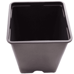 Eco Schwarzer Quadratischer Topf (2)