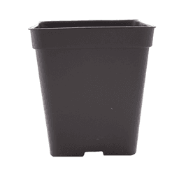 Eco Schwarzer Quadratischer Topf (2)