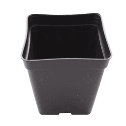 Eco Schwarzer Quadratischer Topf (1)