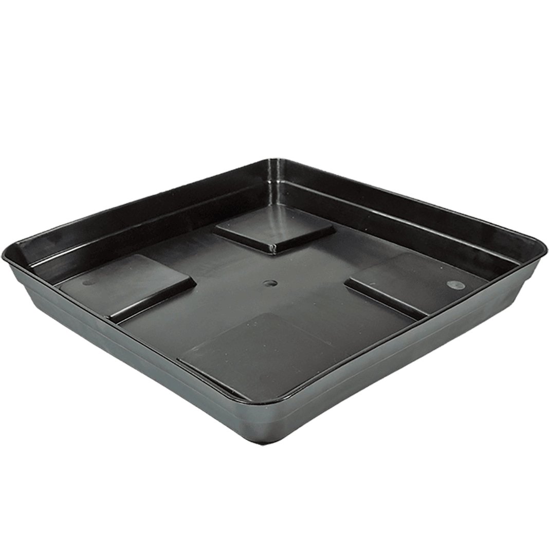 Eckige schwarze Eco-Schale mit Stütze