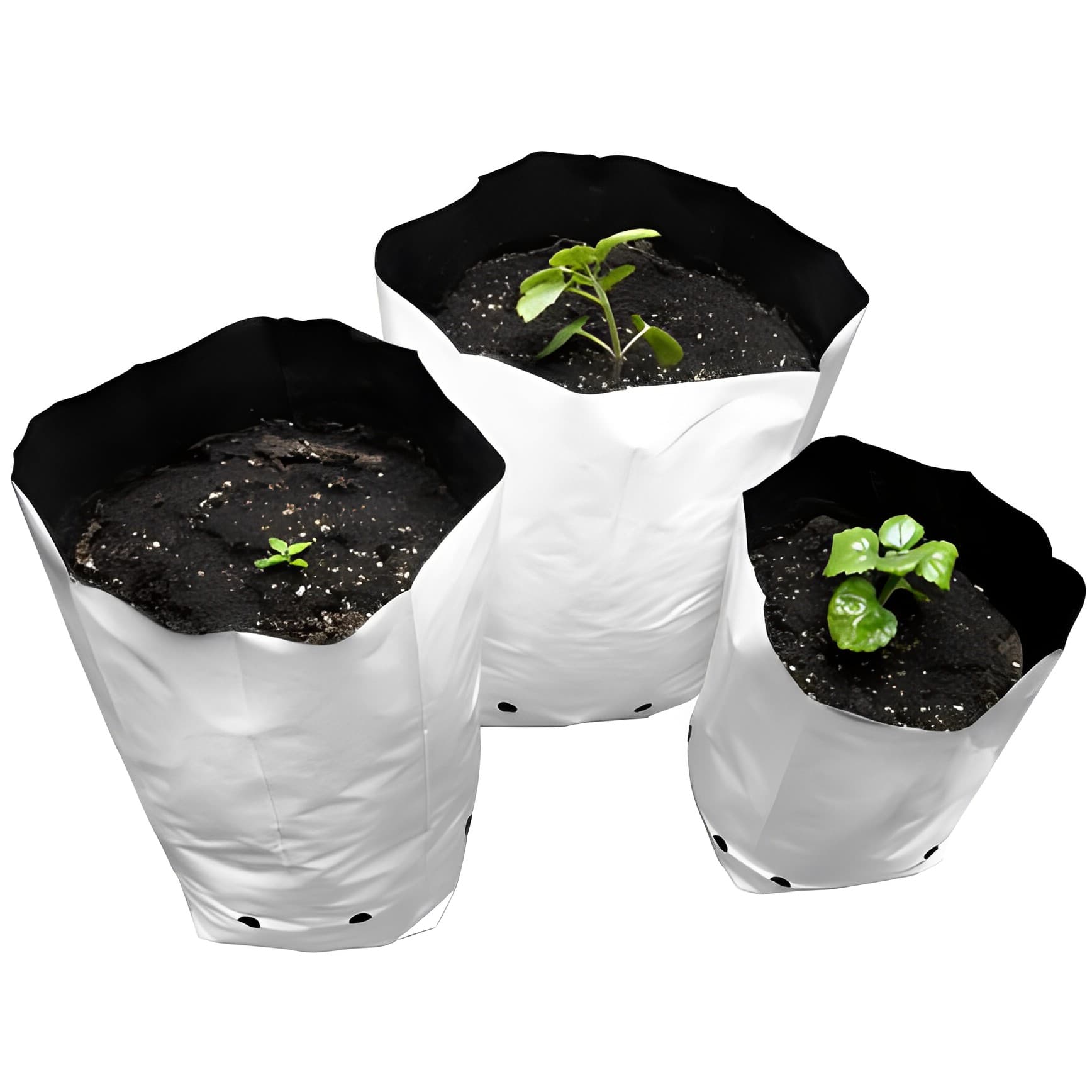 Anzuchtbeutel 5 Gallonen (22L) (25 Stk.)
