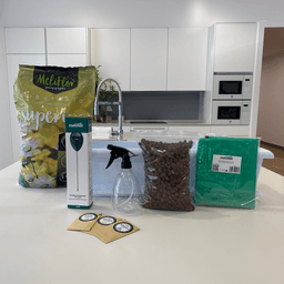 Kit Meliflor Garden Kitchen (2)