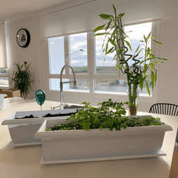 Kit Meliflor Garden Kitchen (3)