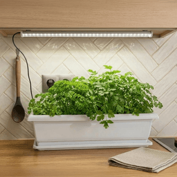 Kit Meliflor Garden Kitchen + Beleuchtung (3)