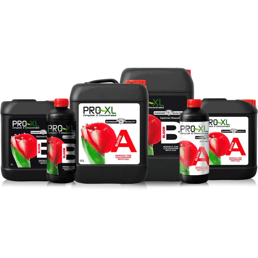 PRO-XL Bloom A&B
