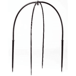 Black Spider 60 cm (2)