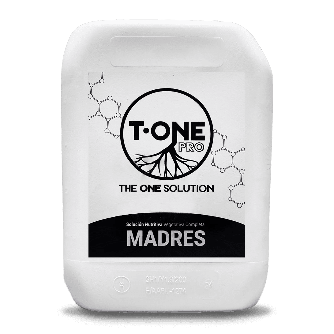 T-One Pro Mutterpflanzen