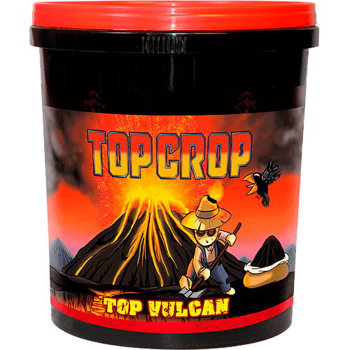 Top Crop Top Vulcan (Lavamehl)