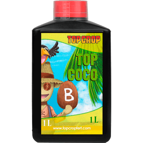 Top Crop Top Coco B