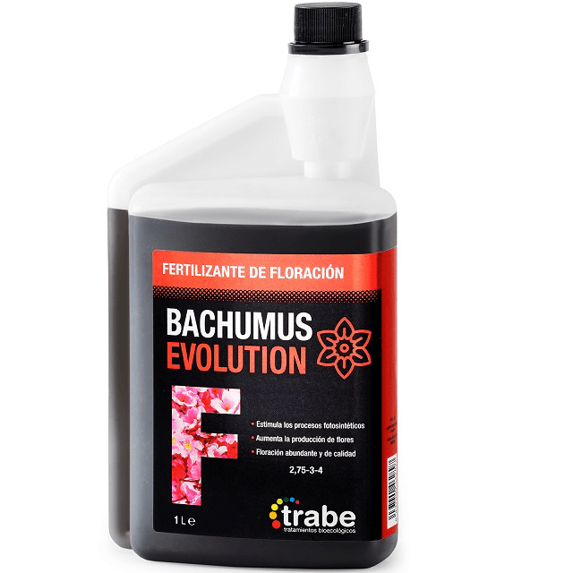 Trabe Bachumus Evolution Blüte (1L - 20L)
