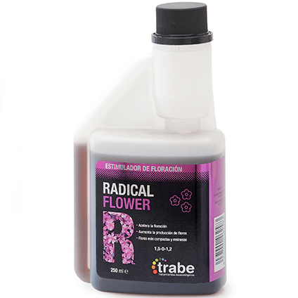 Trabe Radical Flower (250 ml bis 20 L)