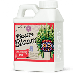 Xpert Nutrients Master Bloom A+B (4)