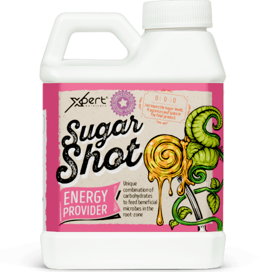 Xpert Nutrients Sugar Shot