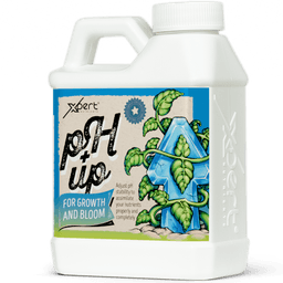 Xpert Nutrients Ph Up (2)